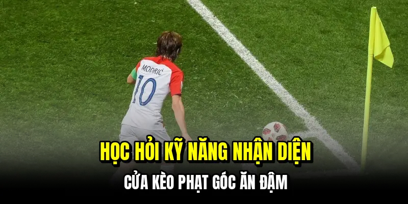 Kèo Phạt Góc - Cách Đọc Tình Huống Trận Đấu Để Thắng Dễ Dàng 7 Học hỏi kỹ năng nhận diện cửa kèo phạt góc ăn đậm